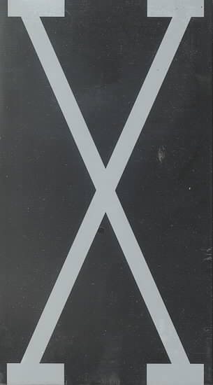 Malcolm X [VHS]