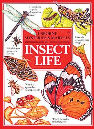 Insect Life (Usborne Mysteries & Marvels) cover