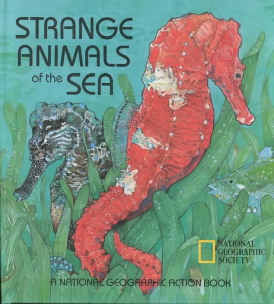 Strange Animals of the Sea cover