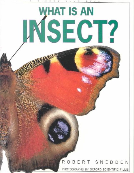 What is an Insect?