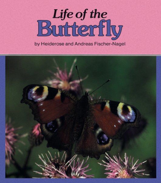The Life of the Butterfly (Nature Watch)