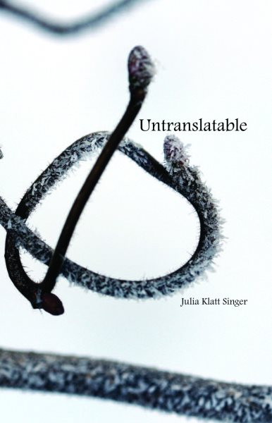 Untranslatable cover