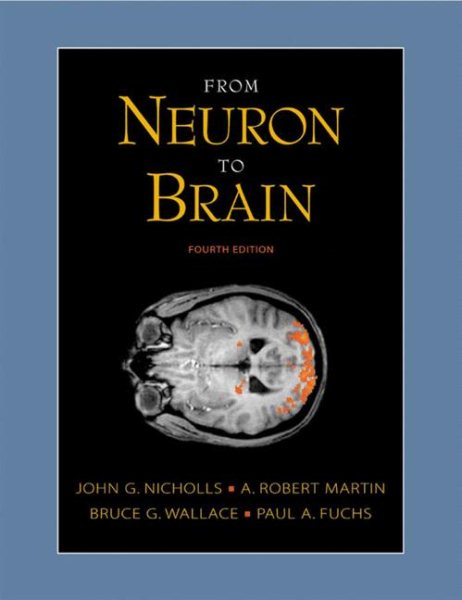 From Neuron to Brain: A Cellular and Molecular Approach to the Function of the Nervous System, Fourth Edition cover