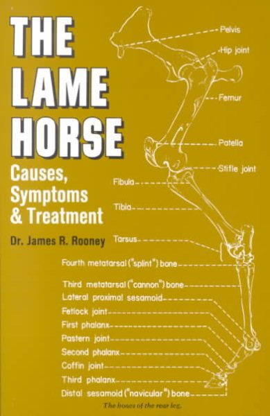 Lame-Horse Causes, Symptoms and Treatments