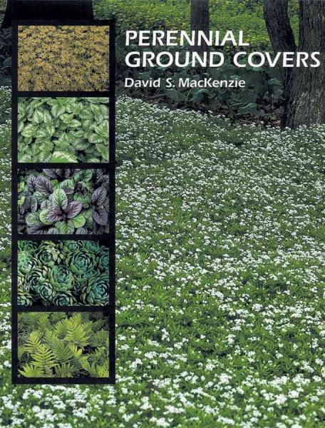 Perennial Ground Covers cover