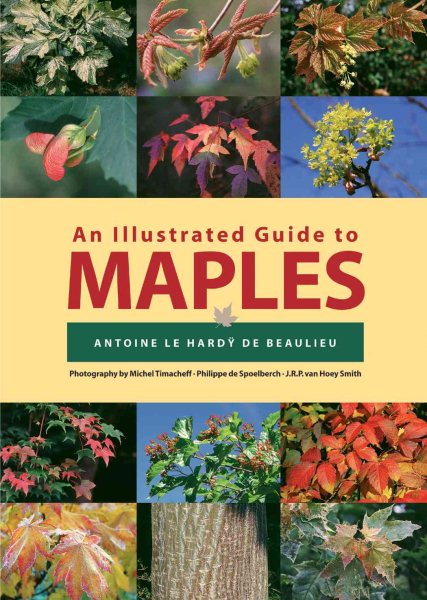 An Illustrated Guide to Maples (Illustrated Guides) cover