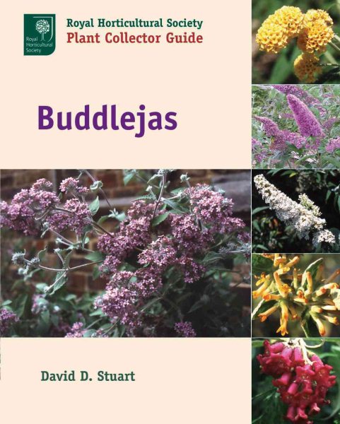 Buddlejas (Royal Horticultural Society Plant Collector Guide) cover