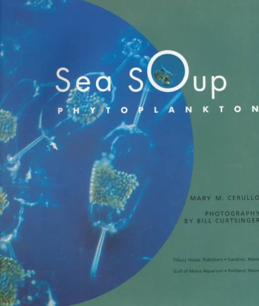Sea Soup: Phytoplankton cover
