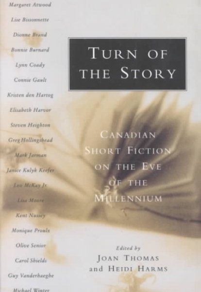 Turn of the Story: Canadian Short Fiction on the Eve of the Millennium cover
