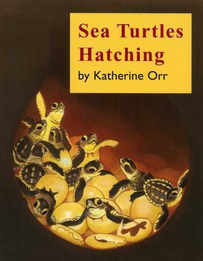 Sea Turtles Hatching cover