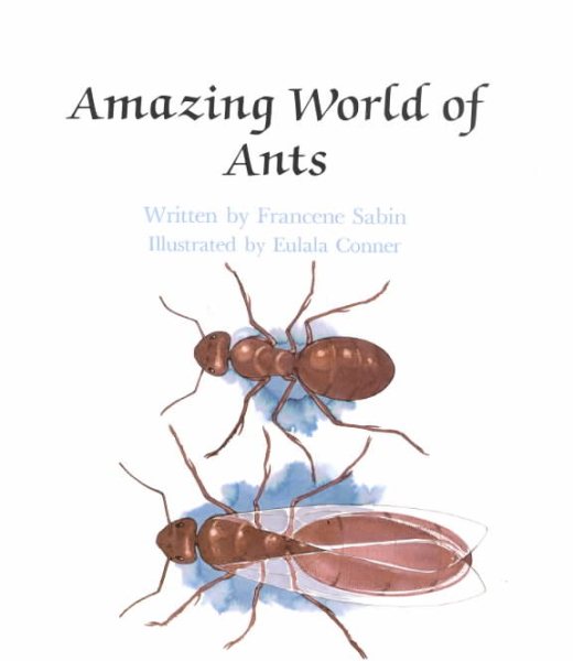 Amazing World Of Ants - Pbk cover