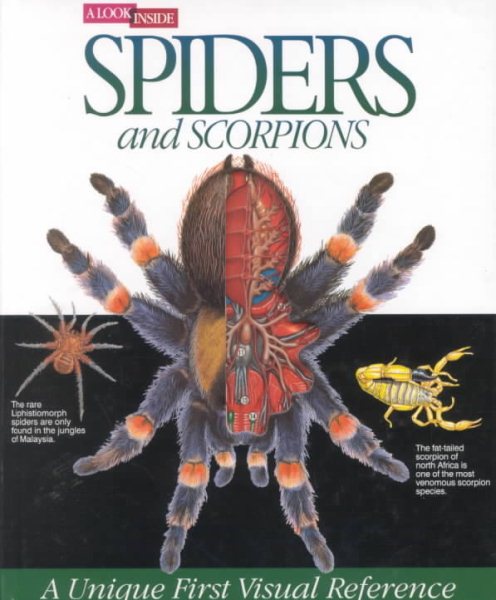 Spiders and Scorpions (A Look Inside) cover