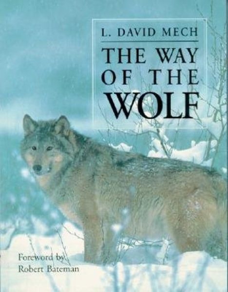 The Way of the Wolf (Wildlife) cover