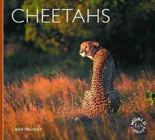 Cheetahs (WLL) cover