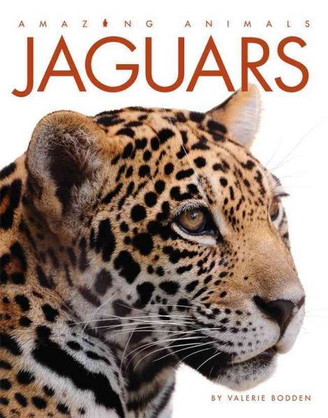 Amazing Animals: Jaguars cover