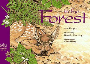 In the Forest (Wild Wonders Series) cover