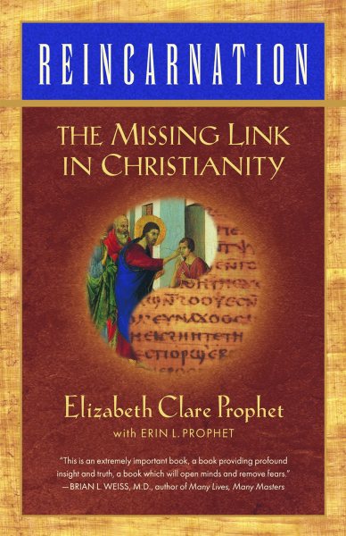 Reincarnation: The Missing Link In Christianity cover