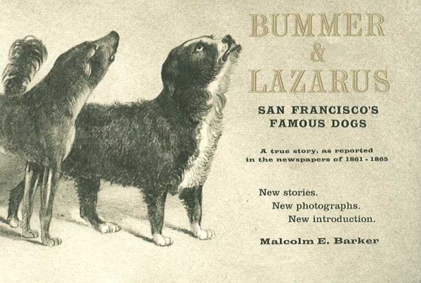 Bummer & Lazarus: San Francisco's Famous Dogs cover