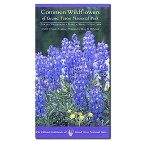Common Wildflowers of Grand Teton National Park cover