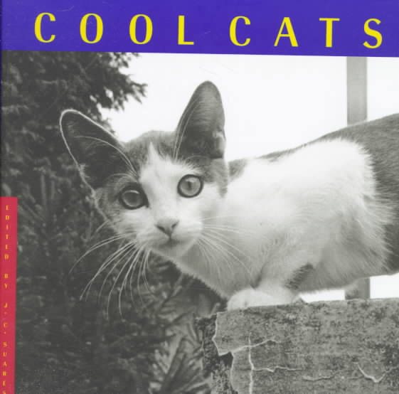 Cool Cats cover