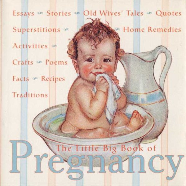 The Little Big Book of Pregnancy (Little Big Books (Welcome))