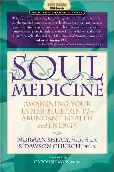 Soul Medicine: Awakening Your Inner Blueprint For Abundant Health and Energy