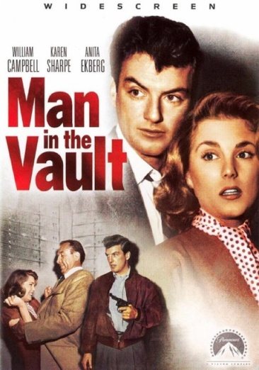 MAN IN THE VAULT cover