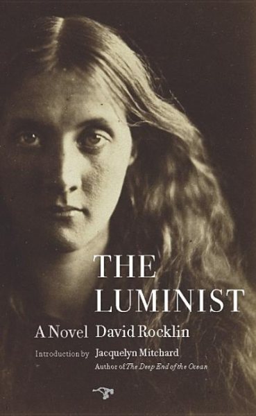 The Luminist: A Novel cover