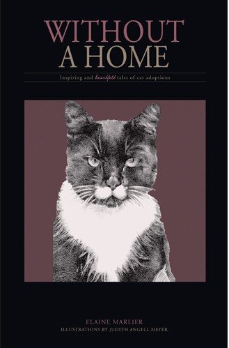 Without A Home - Inspiring and Heartfelt Tales of Cat Adoptions