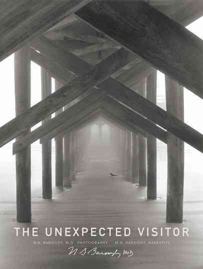 The Unexpected Visitor cover