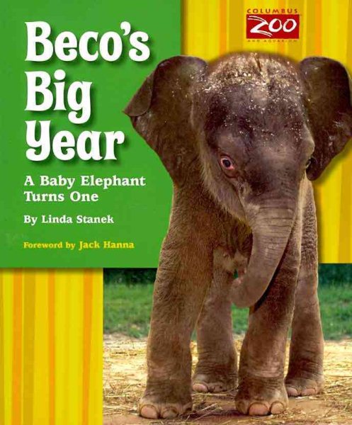 Beco's Big Year: A Baby Elephant Turns One cover