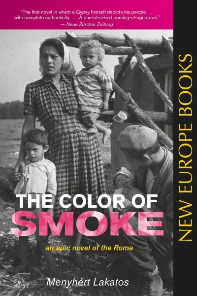 The Color of Smoke: A Novel cover