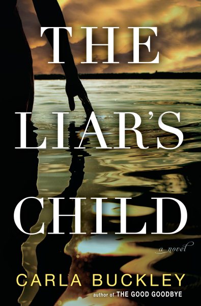 The Liar's Child: A Novel cover