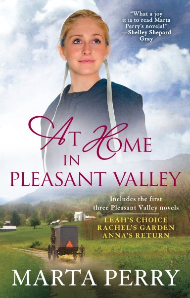 At Home in Pleasant Valley cover
