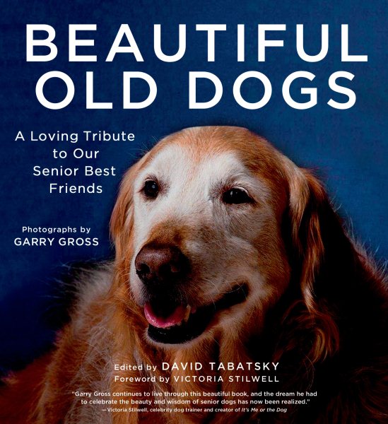 Beautiful Old Dogs: A Loving Tribute to Our Senior Best Friends cover