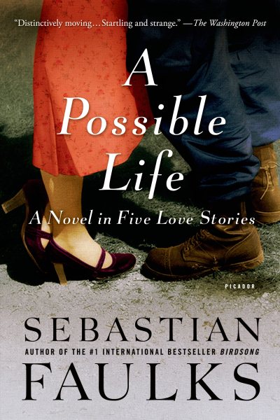 A Possible Life: A Novel in Five Love Stories cover