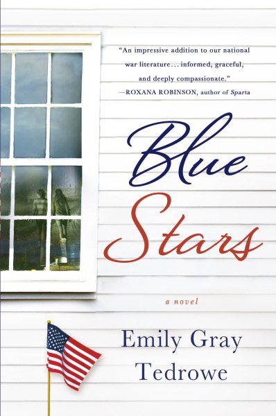 Blue Stars: A Novel cover