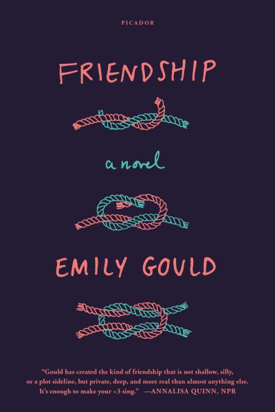 Friendship: A Novel cover