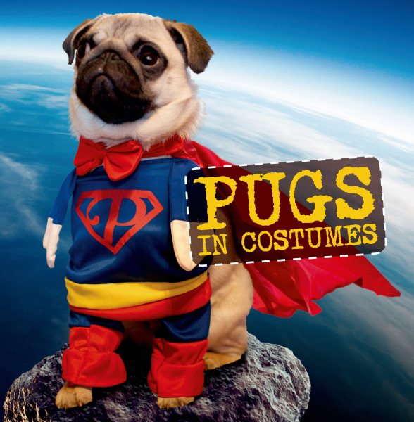 Pugs in Costumes cover