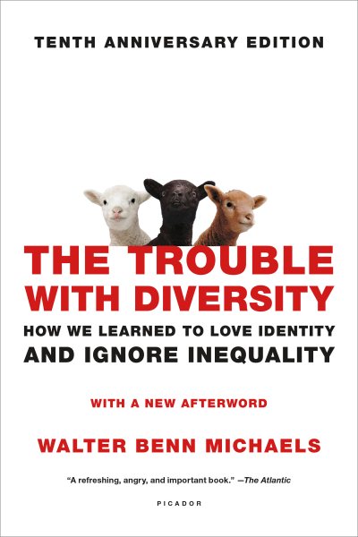 The Trouble with Diversity: How We Learned to Love Identity and Ignore Inequality cover