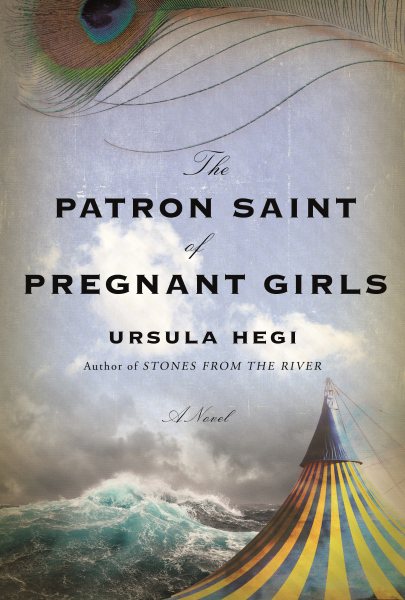The Patron Saint of Pregnant Girls: A Novel cover