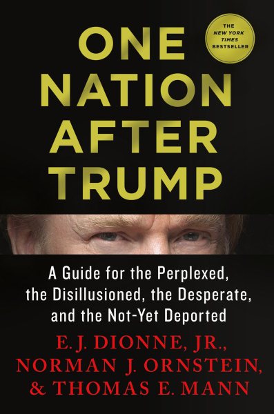 One Nation After Trump: A Guide for the Perplexed, the Disillusioned, the Desperate, and the Not-Yet Deported cover