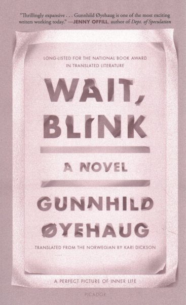 Wait, Blink: A Perfect Picture of Inner Life: A Novel