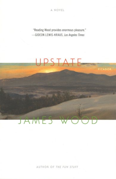 Upstate: A Novel cover