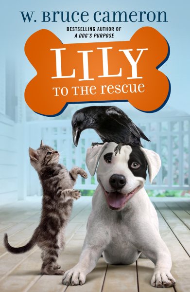 Lily to the Rescue (Lily to the Rescue!, 1) cover