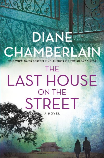 The Last House on the Street: A Novel cover