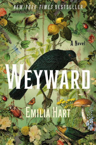 Weyward: A Novel cover