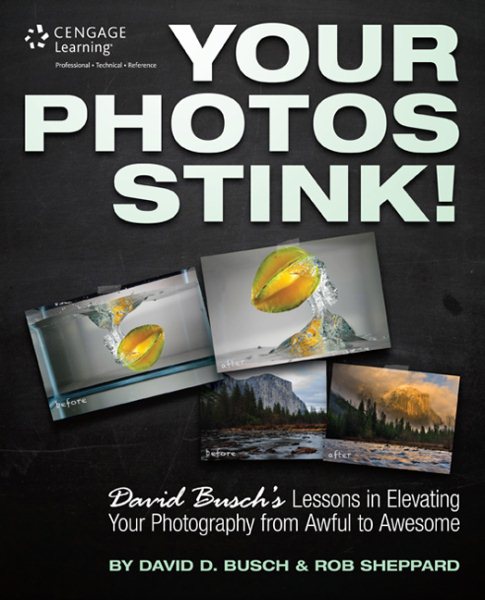 Your Photos Stink!: David Busch's Lessons in Elevating Your Photography from Awful to Awesome cover