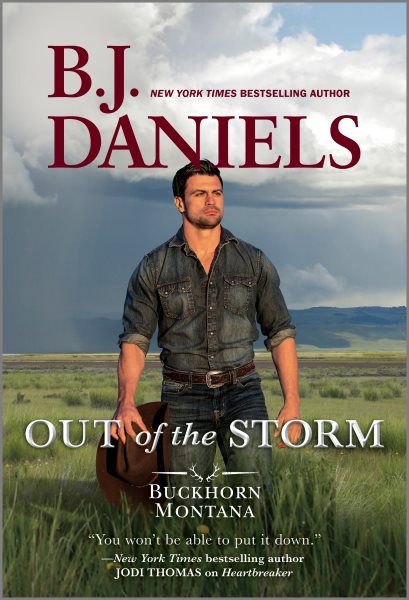 Out of the Storm (A Buckhorn, Montana Novel, 1) cover