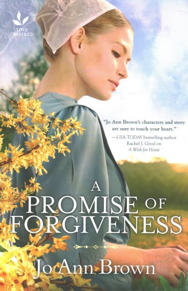 A Promise of Forgiveness: An Uplifting Amish Romance (Secrets of Bliss Valley, 2)
